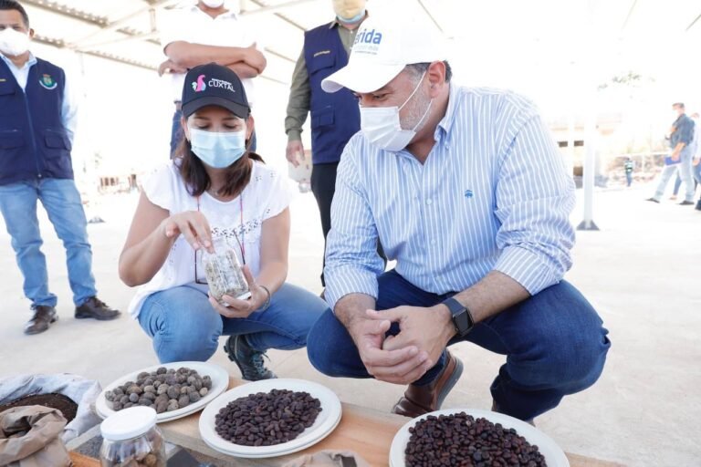 Renán Barrera implementa estrategias ambientales que cuiden la biodiversidad de Mérida