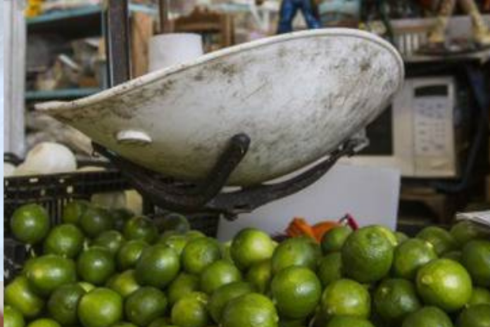 Diseno-sin-titulo-2022-01-12T150619.262