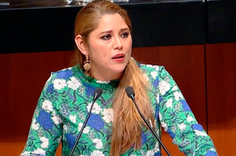 Senadora Camino Farjat promueve la mafia inmobiliaria