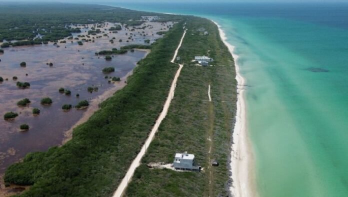 paraiso sisal en orden